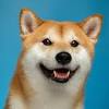 The discord bot for playing chat games right on your server! 1