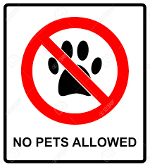 1000 no pet allowed sign free vectors on ai, svg, eps or cdr. No Pets Allowed Icon Pets Forbidden Illustration No Dog Paw Royalty Free Cliparts Vectors And Stock Illustration Image 61103405