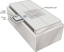 Radiographic And Fluoroscopic Equipment Radiology Key