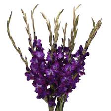 Gladiolus Deep Purple Flower Fiftyflowers Com Tall Flower Arrangements Gladiolus Tall Flowers