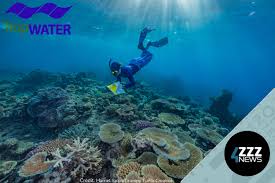 Radio — Abbi Scott