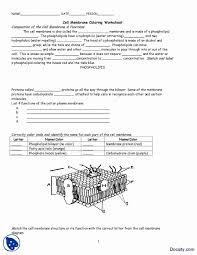 Cell Membrane Coloring Worksheet Luxury Cell Membrane Coloring Worksheet Cell Membrane Coloring Worksheet Cell Membrane Color Worksheets