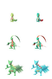 72 ageless pokemon treecko evolution chart