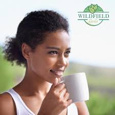 Amazon.com : 20 bags Calendula Tea Dried Calendula Flowers Herb Herbal Tea  (Calendula officinalis)