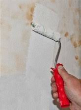 Discover fashion for women, men and kids in the c & a online store! Farbenhaus Schupp Isolier Und Absperrfarben