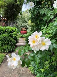 You are watering with conventional methods, and you are watering deeply twice per week. 10 Big Design Ideas For Small Gardens Utah Style And Design