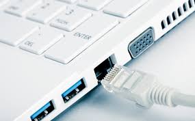 Ethernet Cable Working On Other Devices But No Internet Access On Pc :  R/Homenetworking