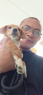 This is Abby, 1.5 y.o. We thank you for letting us join your group. She is  my 4th ESS.