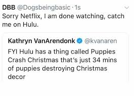 May 25, 2021 · hundreds of puppies purchased during the pandemic are being resold or handed in to rescue centres. Dopl3r Com Memes Dbb Dogsbeingbasic 1s Sorry Netflix I Am Done Watching Catch Me On Hulu Kathryn Vanarendonk Kvanaren Fyi Hulu Has A Thing Called Puppies Crash Christmas Thats Just