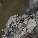 Geology Tour