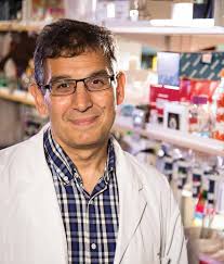 BC CANCER FOUNDATION IMPACT REPORT 2018