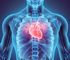 If your pancreas is inflamed, you'll often have intense pain that begins behind your rib cage and spreads to the right side of your chest. Heart Damage In Covid 19 Patients Puzzles Doctors Scientific American