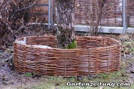 Weiden Selber Flechten Baumrondell Baum Mit Weide Umflechten Weiden Weidenzaun Beeteinfassung Weide
