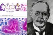 Herbert Kleber: Who was pioneer drug addiction psychiatrist in today's  Google doodle?