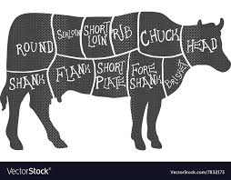 Beef Cuts Diagram Butchering