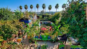 How Gangster Gardener Ron Finley Started A Food Revolution From His Front Yard Front Yard Garden Inspired Urban Garden