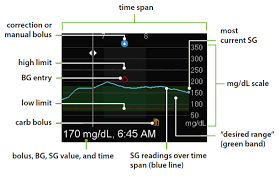 Reading Your Sensor Graphs Medtronic Diabetes