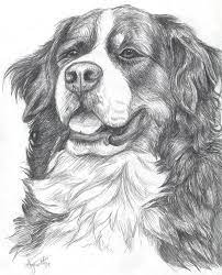 10 lovely dog drawings for inspiration hative hayvan cizimi hayvan kopek