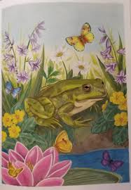 See all books authored by jane maday, including adorable animals you can paint (painter's quick reference), and cute country animals you can paint: Frog By Anita Adorable Animals Grayscale By Jane Maday Prismacolor Grayscale Cute Animals Happy Colors