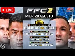 FFC 80: Galindo vs. Ricci