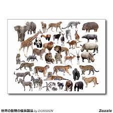 Superior Product Of Animal Of The World Postcard Animal Illustration Animals Animal Groups