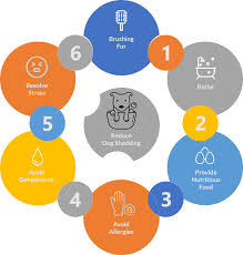 Some possible causes for dog hair loss include: How To Stop Dog Hair Shedding