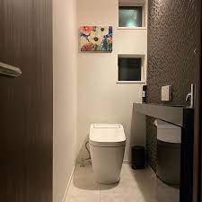 レプトカウンター 手洗い サンワカンパニー トイレのアイデア トイレのデザイン トイレ インテリア