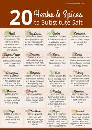 Showing 1 result(s) substitute food top 17 😍 best substitute for basil in cooking. What Is The Best Salt Substitute Corner Of My Home
