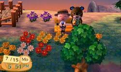 The most obvious use for this feature is to simply move your mailbox to the other side of your door, but the possibilities are. Day And Night Cycle Animal Crossing Wiki Fandom