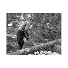 Check spelling or type a new query. Islender Tradisjonell Ullgenser I 100 Norsk Ull