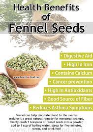 Call us today to learn more about our plans. Pin On Fennel Fennel Seeds