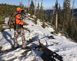 Maybe you would like to learn more about one of these? Colorado Hunters Detail Wild Game Harvests From The Field To Their Thanksgiving Tables Summitdaily Com