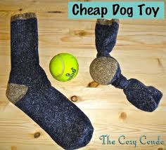16 Jouets Pour Chiens Et Chats Super Faciles Fur Bricoler Mit Den Trucs De La M Kopek Oyuncaklari Hello Kitty Kopek