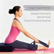 Yoga Pose Primer Seated Forward Bend Pose Paschimottanasana Yoga Poses Yoga Education Yoga