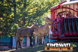 Check spelling or type a new query. Timbavati Wildlife Park Is A Wild Ride Tours Daily At 11am And 1pm Timbavatiwildlifepark Wisconsindells Wi Wildlife Park Train Adventure Safari Adventure