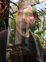 Portfolio Review • PVF 2019