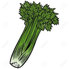 Celery Royalty Free Svg Cliparts Vectors And Stock Illustration Image 57291449