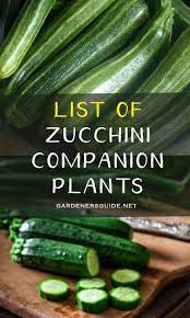 Check spelling or type a new query. List Of Zucchini Companion Plants Zucchini Companionplants Gardenersguide Companion Planting Zucchini Companion Planting Zucchini Plants