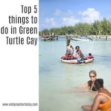 11 Best Green Turtle Cay Images Green Turtle Turtle Green