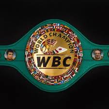 Image result for WBC