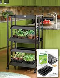 Small 2 Tier Grow Lights With Garden Starter Supplies Growing Food Indoors Indoor Vegetable Gardening Indoor Grow Lights