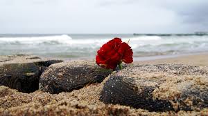 Aug 09, 2021 · hello, summer. What We Know About Bachelor In Paradise Season 7 Release Date Cast And Spoilers