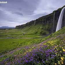 The government represents the left green movement, the independence party and the progressive party Islanda Picture Of Iceland Europe Tripadvisor
