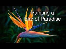 How To Paint A Bird Of Paradise Flower In Watercolor Tutorial Watercolour Youtube Birds Of Paradise Flower Birds Of Paradise Paradise Plant