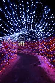 Calgary Zoo Lights Tunnel Of Love Zoo Lights Winter Pictures Tunnel Of Love