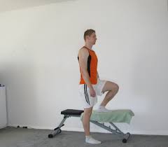 Position a barbell across your traps and initiate the exercise by stepping on to the riser with one leg. Seitlicher Step Up Anleitung Ausfuhrung