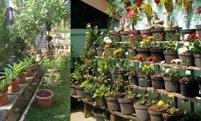 Benih sayuran, buah dan bunga. 6 Tips Berkebun Murah Hemat Biaya Hemat Waktu Dan Tenaga Di Rumah Berita Pertanian Mitalom