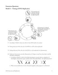 What are the three parts of a nucleotide? Dna Structure And Replication Worksheet