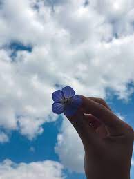 2560x1600 aesthetic lava wallpapers and stock photos. Pin Oleh Lutfiah Naa Di Quotes Fotografi Langit Pemandangan Bunga Daisy