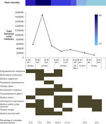 But all this has gone into reverse since the former ruling coalition was restored. Impact Of Haze Events On Airborne Bacterial Consortia A Case Study Springerlink